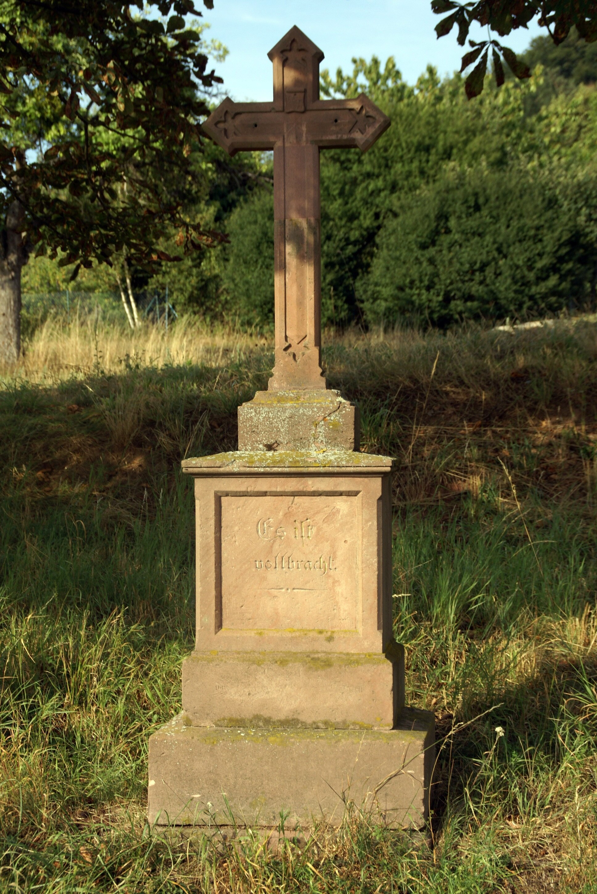 Photo "Sommerkahl" by Prof. emeritus Hans Schneider (Geyersberg) (CC BY) / Cropped from original