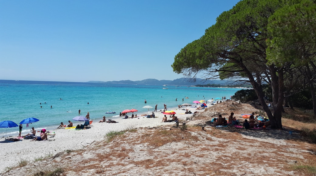 Foto "Playa de Palombaggia" de Donarreiskoffer (CC BY-SA) / Recortada de la original