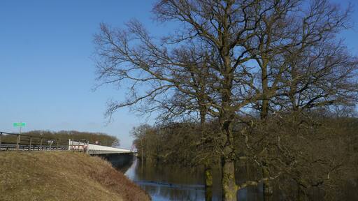 Photo "Gusborn" by Christian Dirksen (CC BY-SA) / Cropped from original