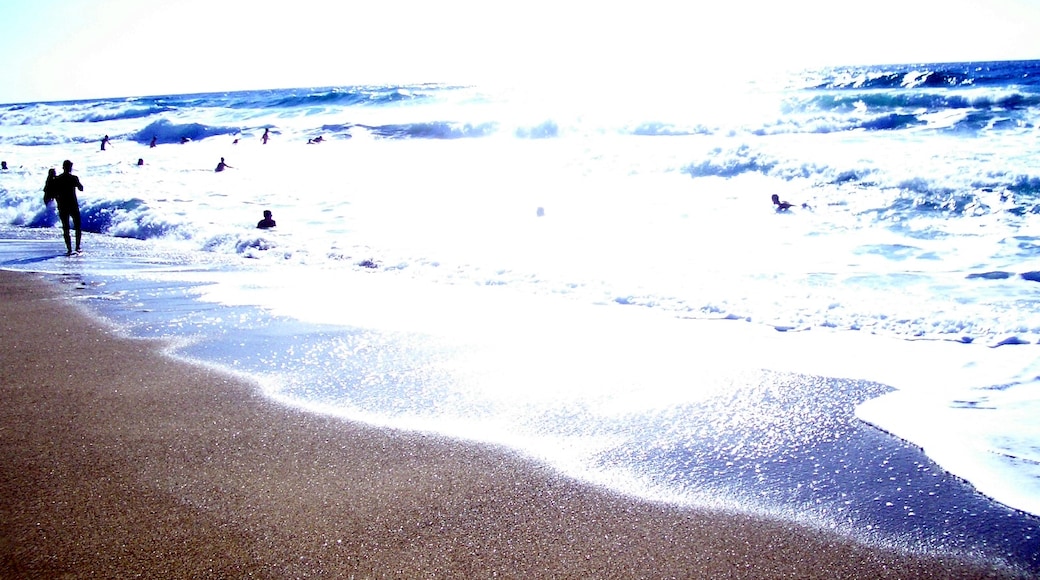 Foto "Spiaggia di Piscinas" di nicola gasponi (CC BY) / Ritaglio dell’originale