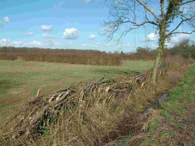 Foto “Alconbury Weston” tomada por Chris Gardiner (CC BY-SA); recorte de la original