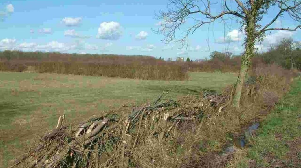 Photo "Alconbury Weston" by Chris Gardiner (CC BY-SA) / Cropped from original