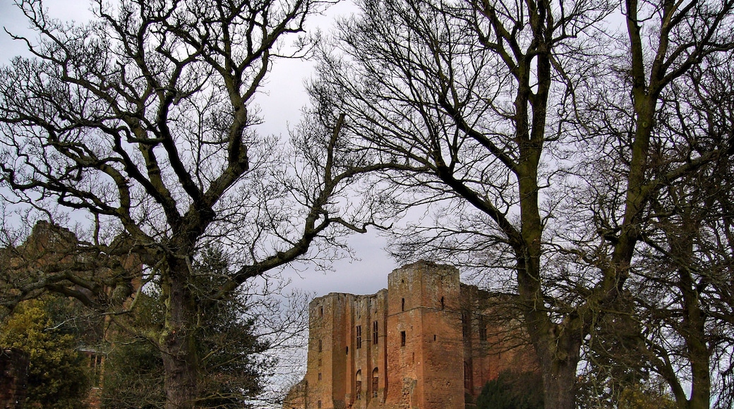 Foto „Kenilworth Castle“ von Tanya Dedyukhina (CC BY)/zugeschnittenes Original