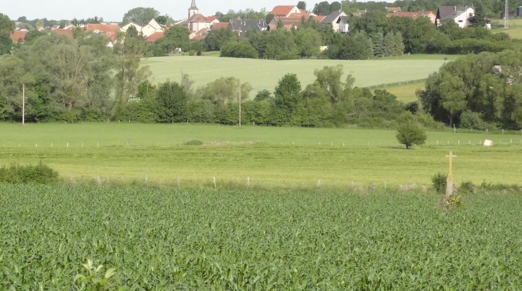 Haut-Clocher (Moselle) paysage, vue du village