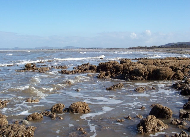 Sabellaria reef A reef at the low tide level of the beach near Llanddulas are formed by a marine worm. Distant views of the Clwydian Hills form the horizon.