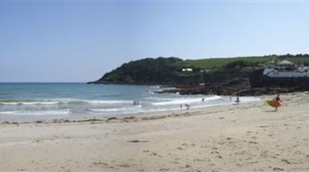 Photo "Swanpool Beach" by Kenneth Allen (CC BY-SA) / Cropped from original