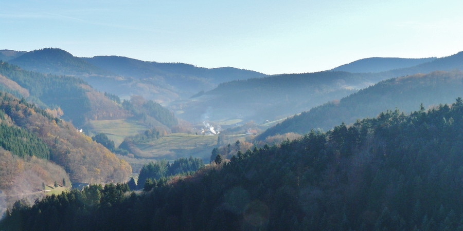 Blick Richtung Bad Peterstal