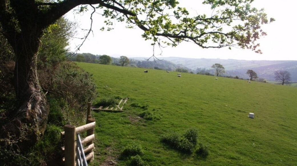 "Marystow"-foto av Derek Harper (CC BY-SA) / Urklipp från original