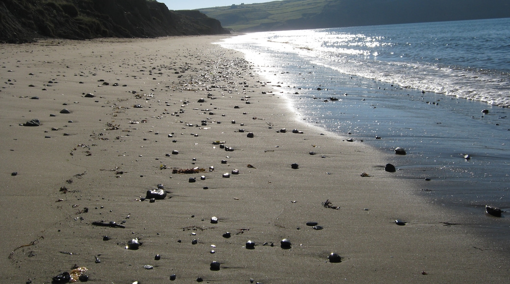 Photo "Porth Neigwl Beach" by Robert Powell (CC BY-SA) / Cropped from original