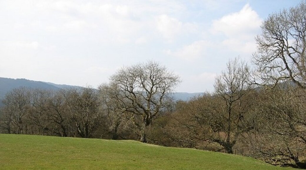 Photo "Auchenbreck" by Richard Webb (CC BY-SA) / Cropped from original