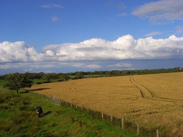 Foto „Holme East Waver“ von Andrew Smith (CC BY-SA)/zugeschnittenes Original