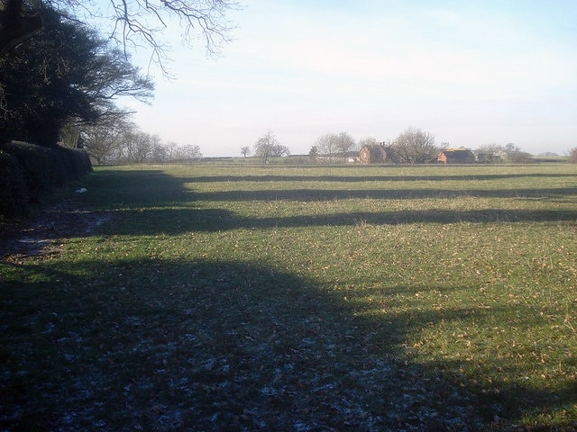 Photo "Bentley Pauncefoot" by Trevor Rickard (CC BY-SA) / Cropped from original