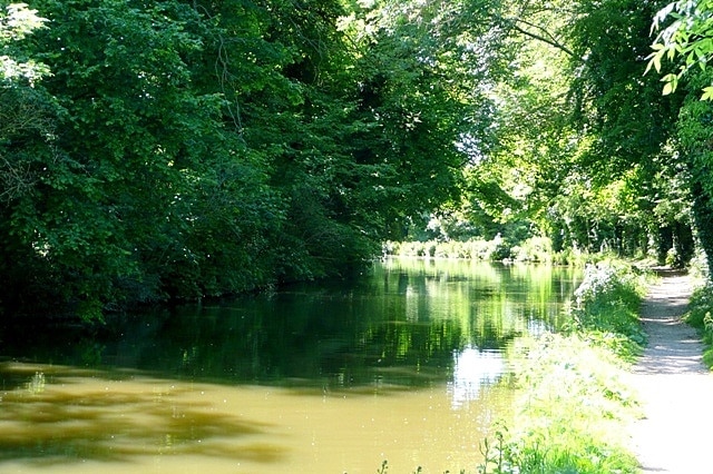 East of Kintbury The bright sunshine reflects off the water and contrasts heavily with the shaded areas along the canal towpath.