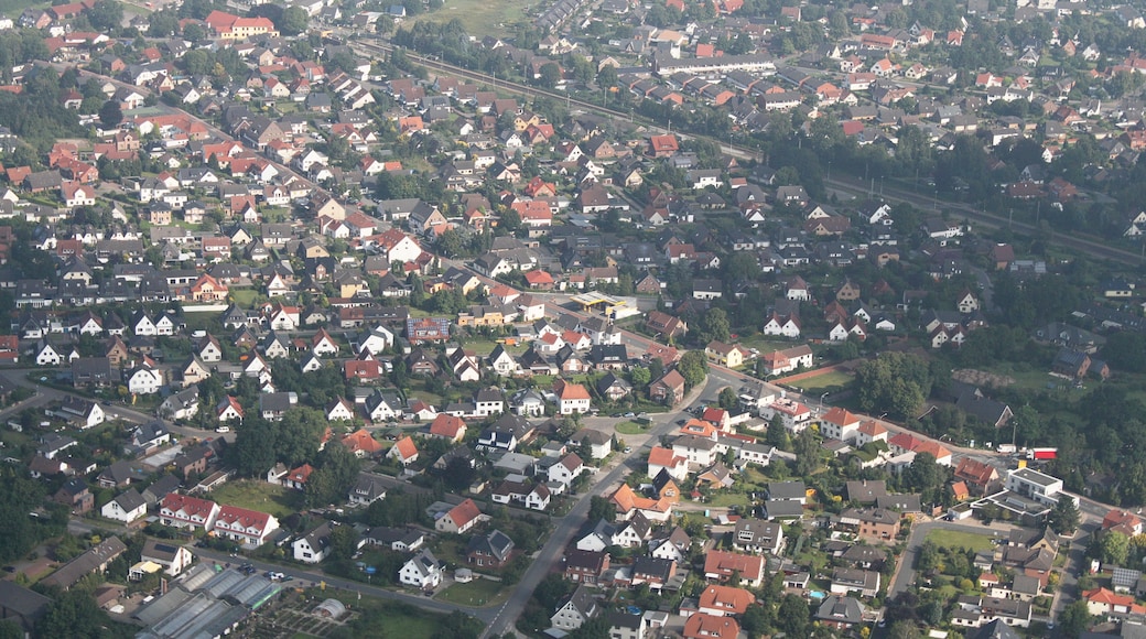 Foto ‘Achim’ van Bin im Garten (CC BY-SA) / bijgesneden versie van origineel