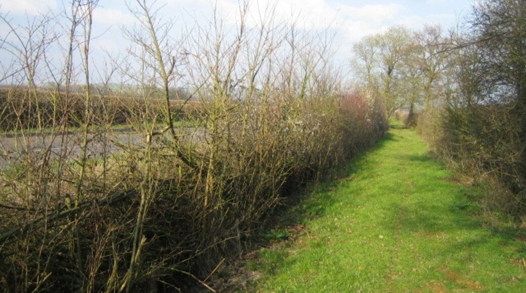 "Westcott"-foto av Andy Gryce (CC BY-SA) / Urklipp från original