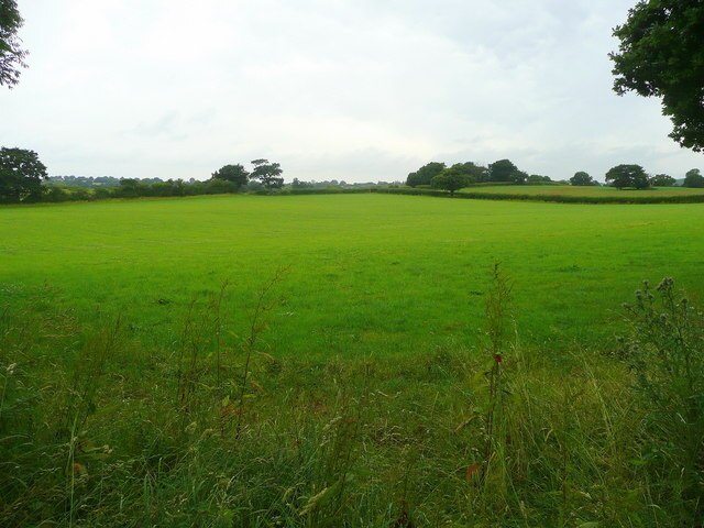 Kuva ”Elmbridge” käyttäjältä Jonathan Billinger (CC BY-SA) / rajattu alkuperäisestä kuvasta