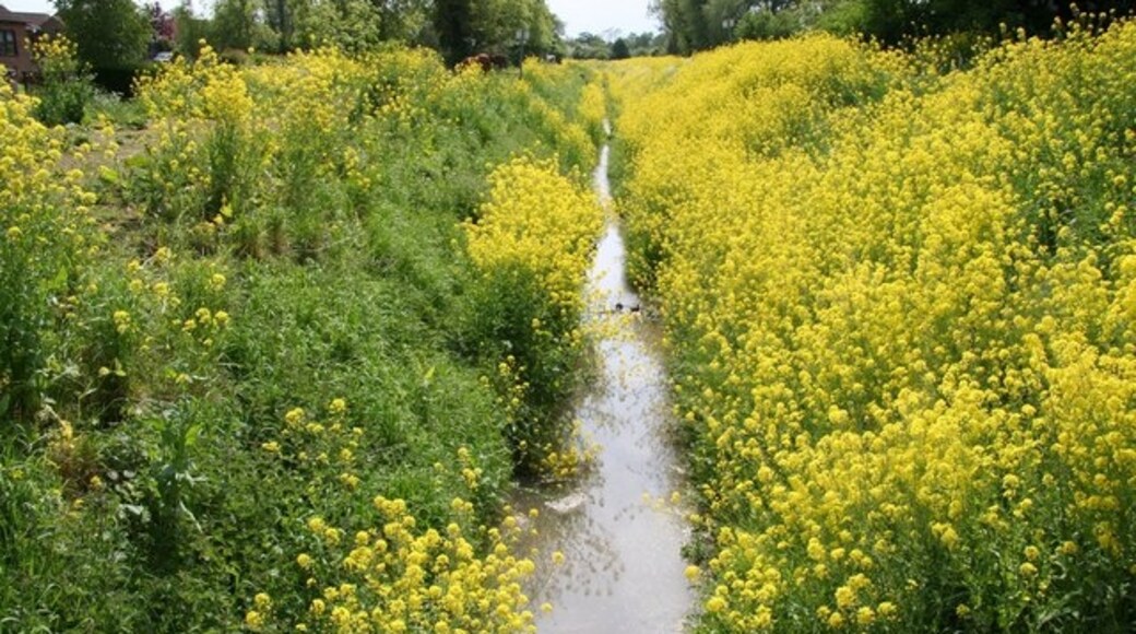 Kuva ”Suuri Steeping” käyttäjältä Richard Croft (CC BY-SA) / rajattu alkuperäisestä kuvasta