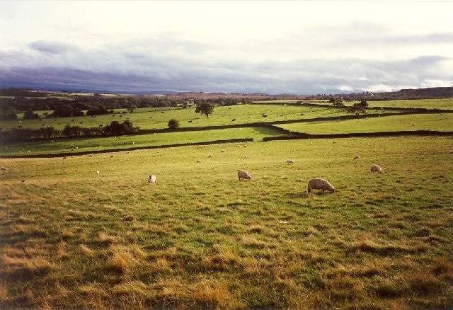 Foto “Warsill” tomada por Humphrey Bolton (CC BY-SA); recorte de la original