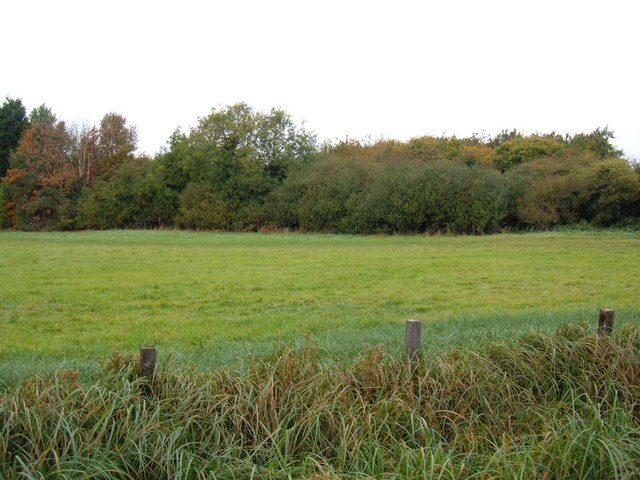 Photo "Woodmansey" by JThomas (CC BY-SA) / Cropped from original