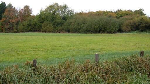 Photo "Woodmansey" by JThomas (CC BY-SA) / Cropped from original