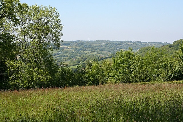 Hemyock: near Crockers Farm. Looking north-north-west over the Culm valley to the Wellington Monument, just visible on the skyline