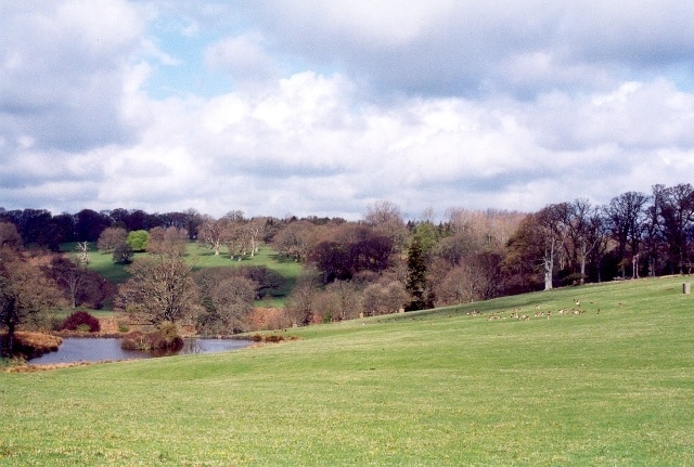 Foto "Melbury Sampford" por Patrick Mackie (CC BY-SA) / Recortada de la original