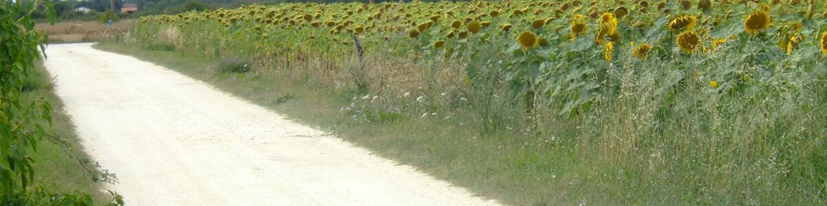 Photo "Marennes over the fields" by Ray Ok (Creative Commons Attribution 3.0) / Cropped from original