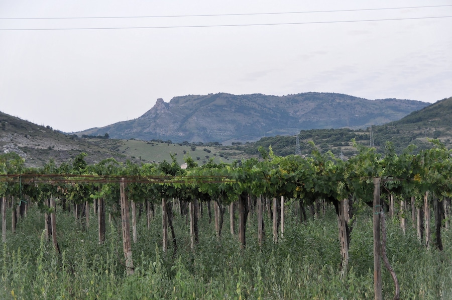 Popoli 2013