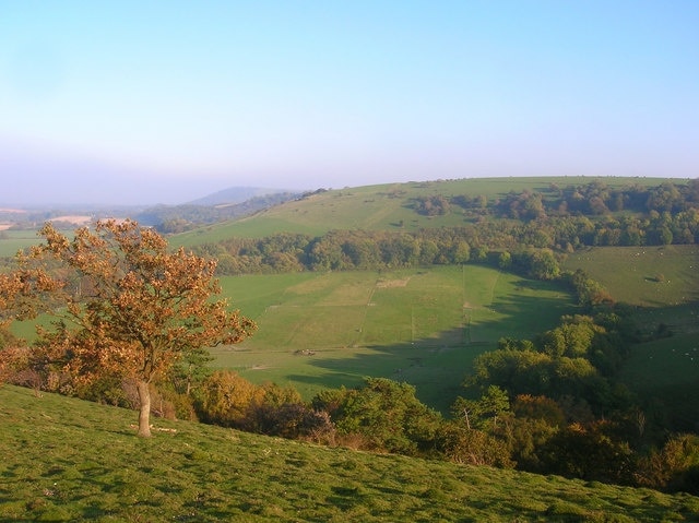 Billede "Storrington og Sullington" af Simon Carey (CC BY-SA) / beskåret fra det originale billede