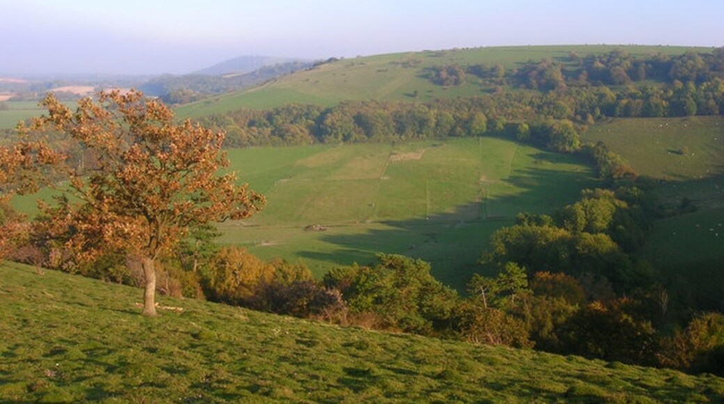 Billede "Storrington og Sullington" af Simon Carey (CC BY-SA) / beskåret fra det originale billede