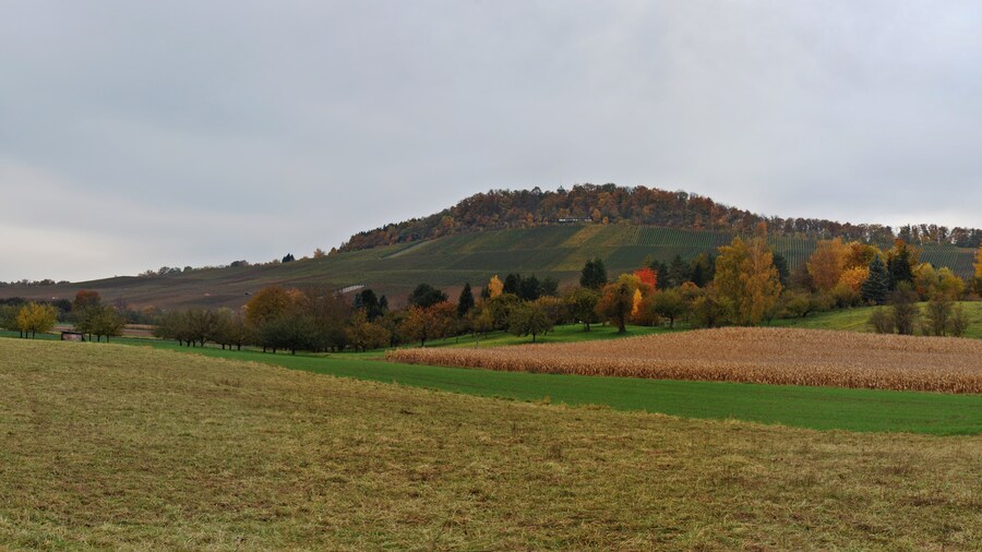 Photo "The mountain Wunnenstein in the district of Ludwigsburg, Baden-Württemberg." by Felix Koenig (Creative Commons Attribution 3.0) / Cropped from original