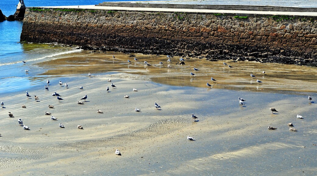Wamba Wambez 님의 "로데이라 해변" 사진(CC BY-SA) / 원본에서 잘라냄