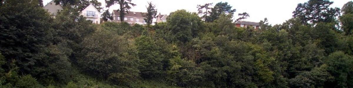 Photo "Radyr Weir and Taff valley railway line. Photo taken from the east bank of the Taff July 2005 Radyr weir is the latest of many such structures on the site the first of which was built in the 12th Century" by nantcoly (Creative Commons Attribution-Share Alike 2.0) / Cropped from original
