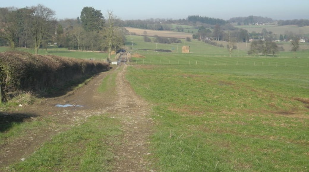 Photo "Rushbury" by Row17 (CC BY-SA) / Cropped from original