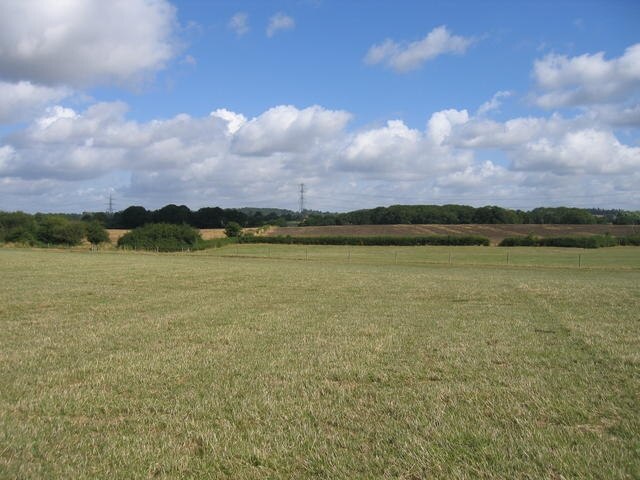 Foto “Stock and Bradley” tomada por David Stowell (CC BY-SA); recorte de la original