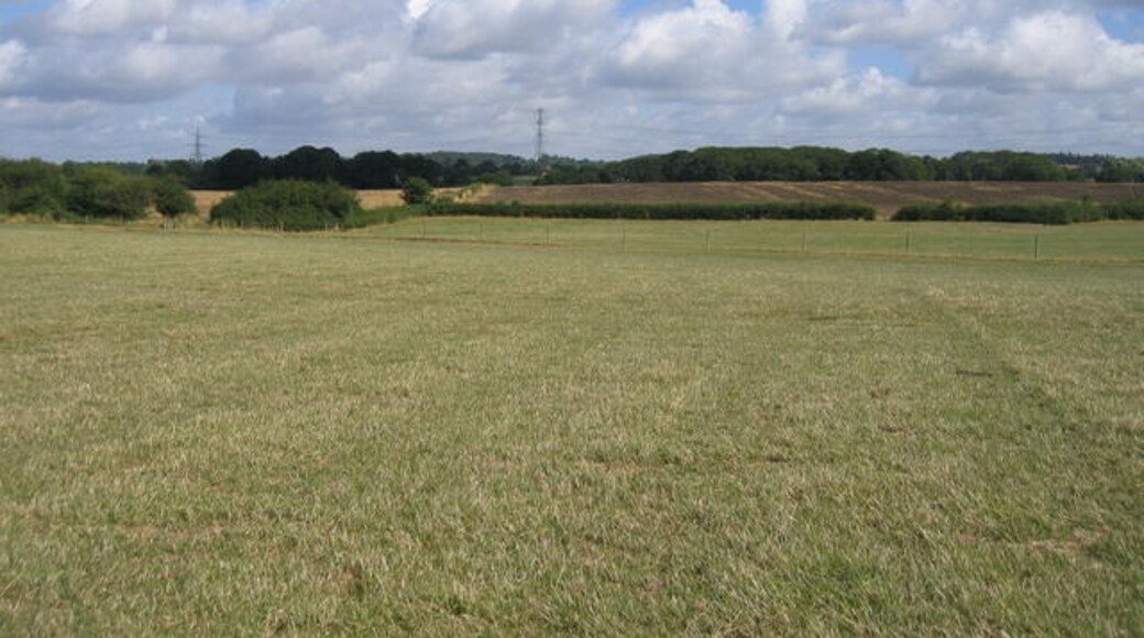 Foto “Stock and Bradley” tomada por David Stowell (CC BY-SA); recorte de la original