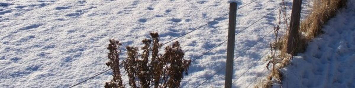 Photo "Looking west from 'the dog walk' in front of Hall Hill farm" by David Clark (Creative Commons Attribution-Share Alike 2.0) / Cropped from original