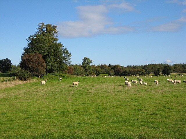 Foto “Hasfield” tomada por Pauline Eccles (CC BY-SA); recorte de la original