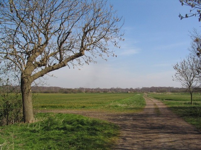 Foto “Wood Walton” tomada por Tim Heaton (CC BY-SA); recorte de la original