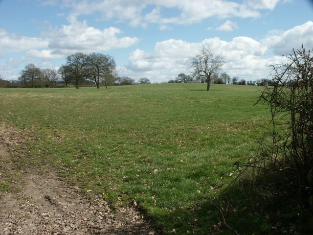 Photo "Bentley Pauncefoot" by Martin Wilson (CC BY-SA) / Cropped from original