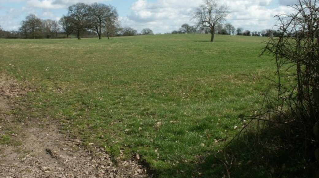 Photo "Bentley Pauncefoot" by Martin Wilson (CC BY-SA) / Cropped from original