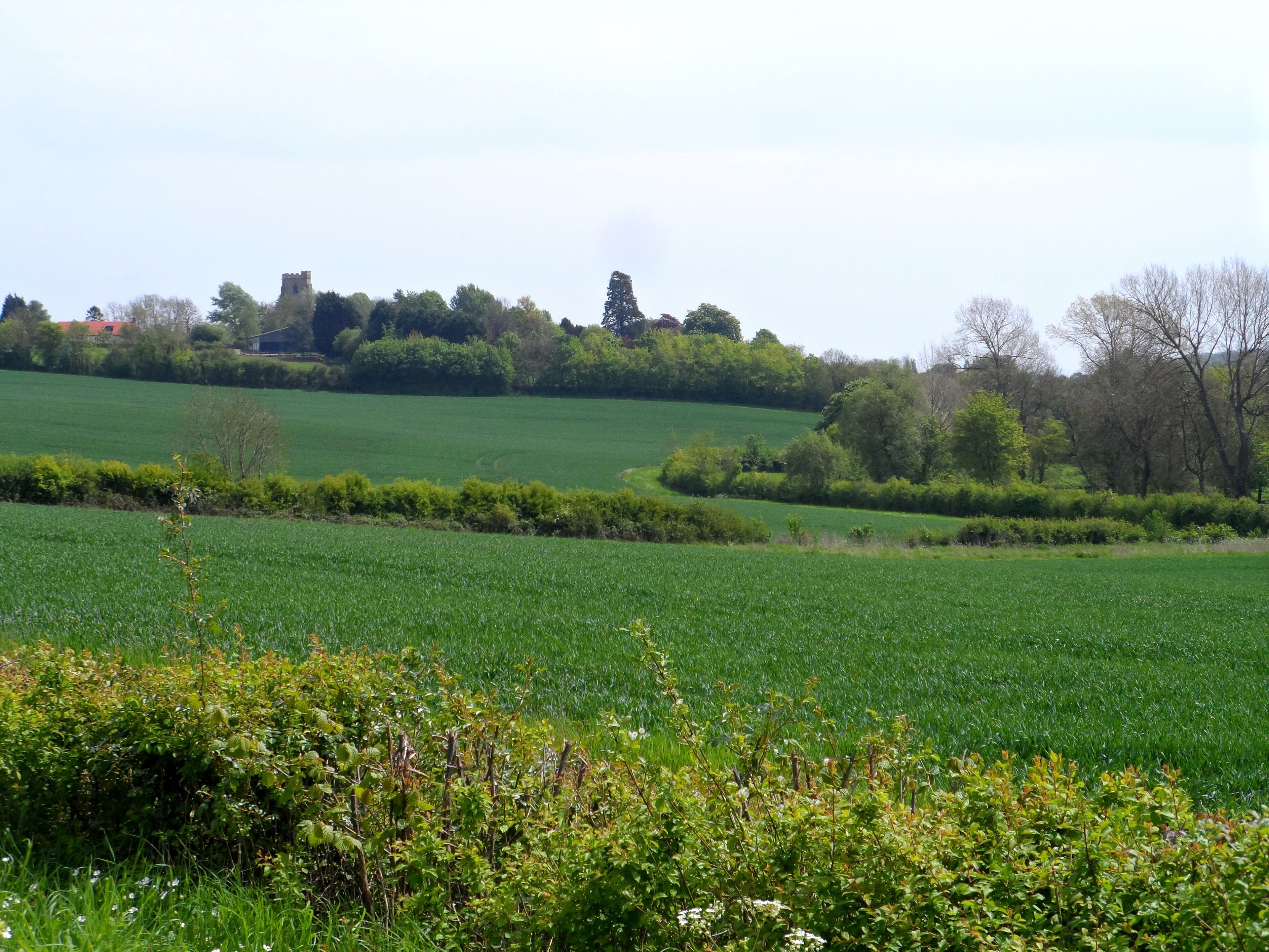 Kuva ”Stansfield” käyttäjältä Bikeboy (CC BY-SA) / rajattu alkuperäisestä kuvasta
