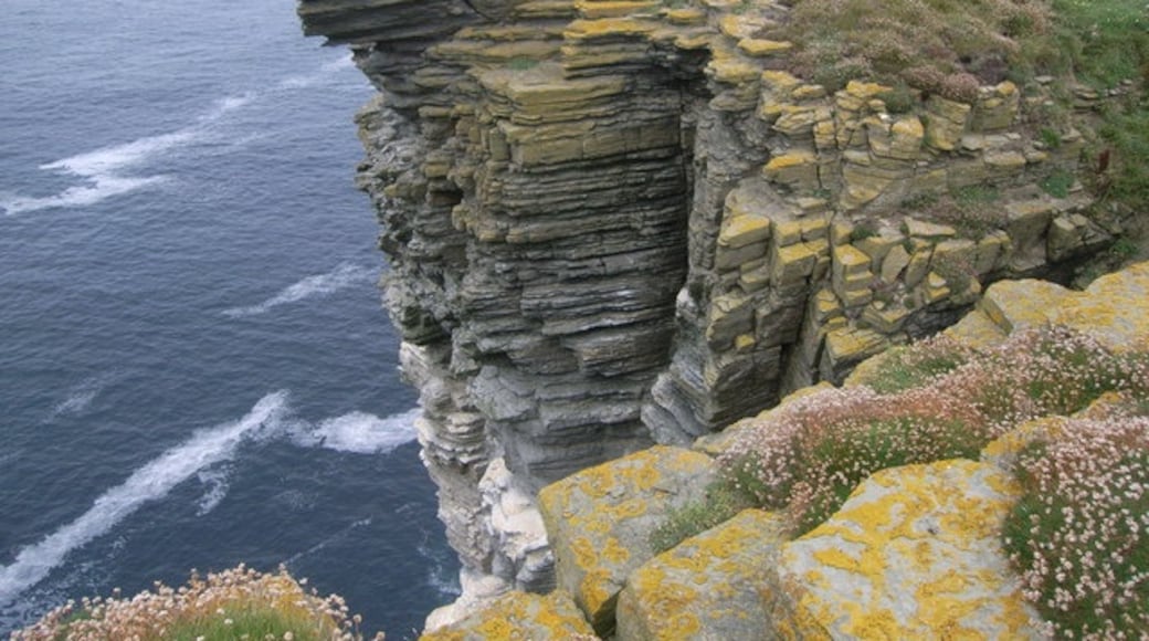 Photo "Birsay" by Nicholas Mutton (CC BY-SA) / Cropped from original