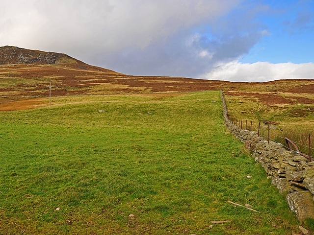 Pasture near North Amulree Craig Hulich in the left background.