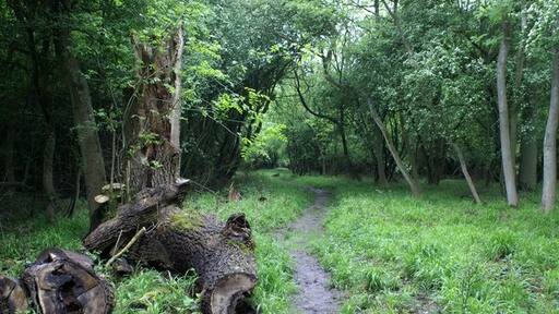 Photo "Duddington-with-Fineshade" by Peter Standing (CC BY-SA) / Cropped from original