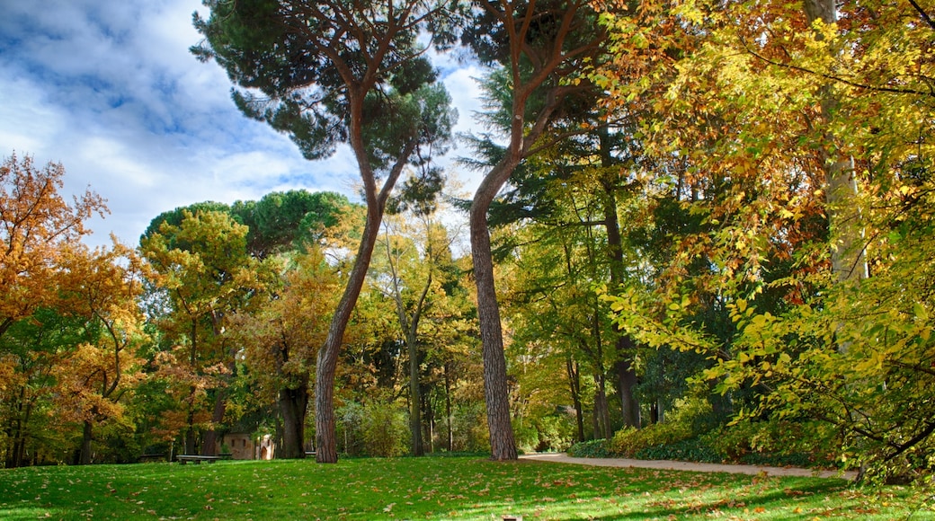 ภาพ "สวนสาธารณะ El Capricho" โดย M.Peinado (CC BY) / ตัดภาพจากขนาดต้นฉบับ