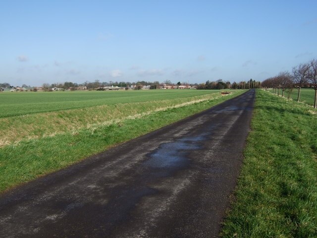 Photo "Reedness" by John Collett (CC BY-SA) / Cropped from original