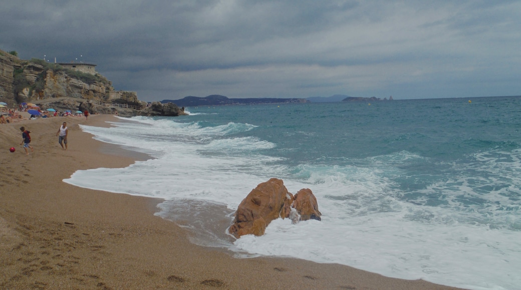 Photo "Platja de L'Illa Roja" by Paulaarbeloa (page does not exist) (CC BY-SA) / Cropped from original