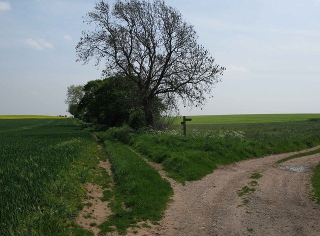 Kuva ”Hutton Conyers” käyttäjältä David Rogers (CC BY-SA) / rajattu alkuperäisestä kuvasta