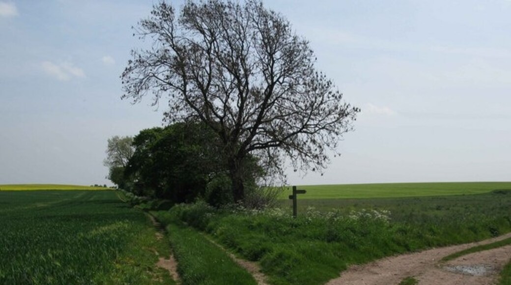 Kuva ”Hutton Conyers” käyttäjältä David Rogers (CC BY-SA) / rajattu alkuperäisestä kuvasta